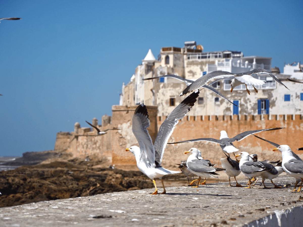 siente marruecos viajes (88)